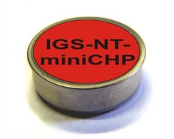 IGS-NT-miniCHP